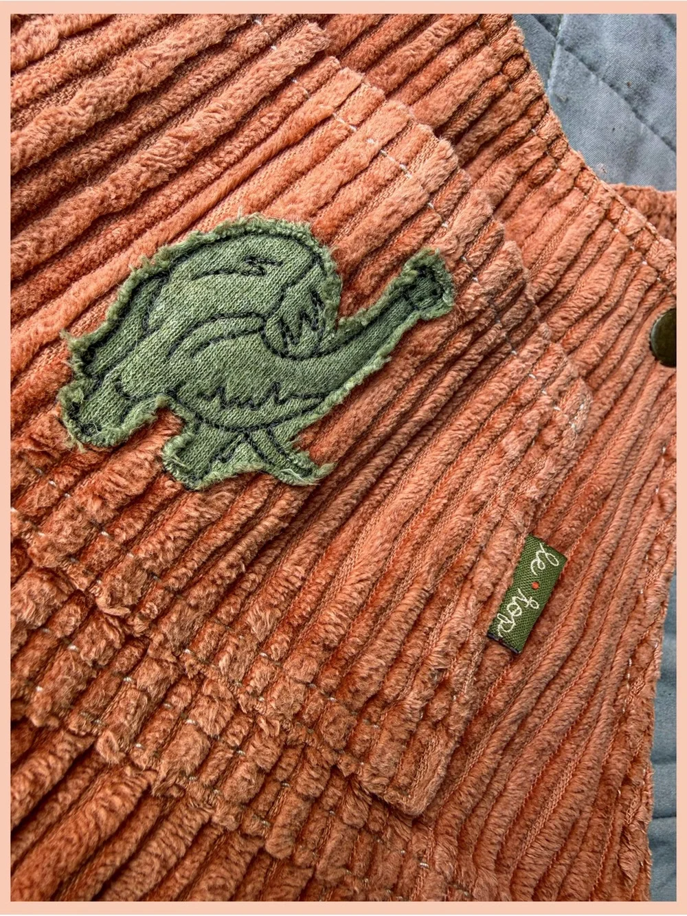 Le Top Vintage Corduroy Overalls Rust Embroidered Dino 18 Hippie Boy Girl Pants